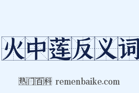 火中莲反义词是什么意思的图片